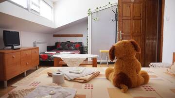 Фото номера Стандартный четырехместный номер Гостевой дом Pamir Guest House г. Шипково 2